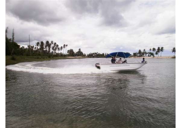 SmartCat 20’