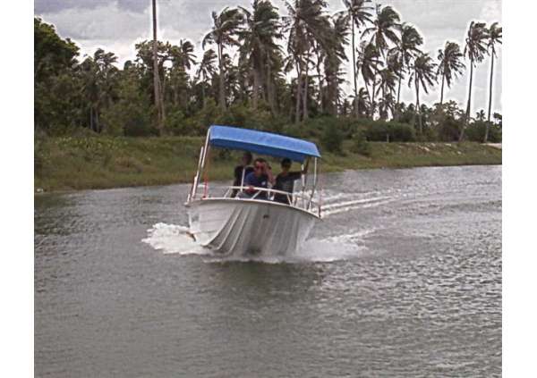 SmartCat 20’