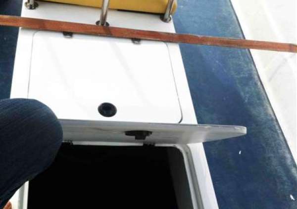 SmartCat 21’