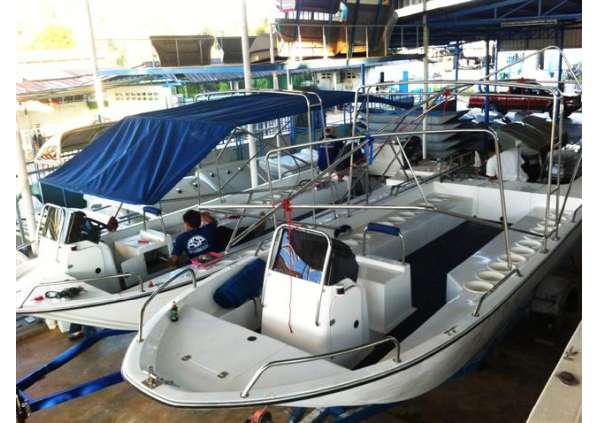 SmartCat 24’