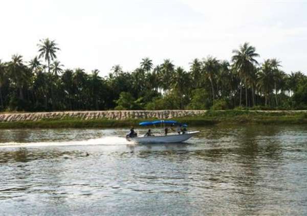 SmartCat 24’